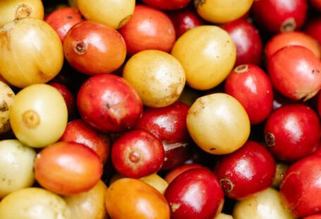 Coffee Spots - Backdrop of assorted coffee fruits with pleasant aroma