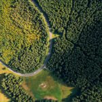 Road Trips - Aerial Photography of Green Trees