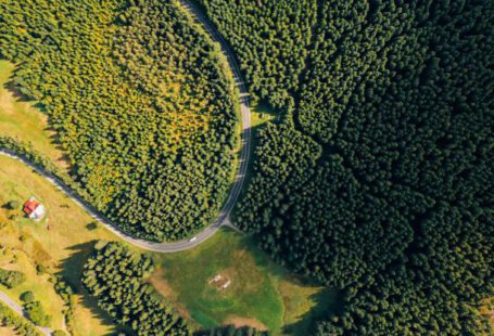 Road Trips - Aerial Photography of Green Trees