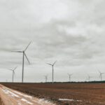 Eco Lodges - Field full of wind turbines