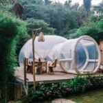 Rainforest Experience - Exterior of cute bubble tent in tropical garden