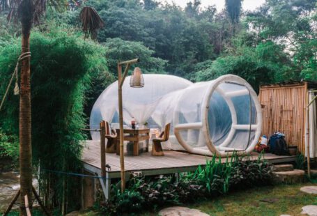 Rainforest Experience - Exterior of cute bubble tent in tropical garden