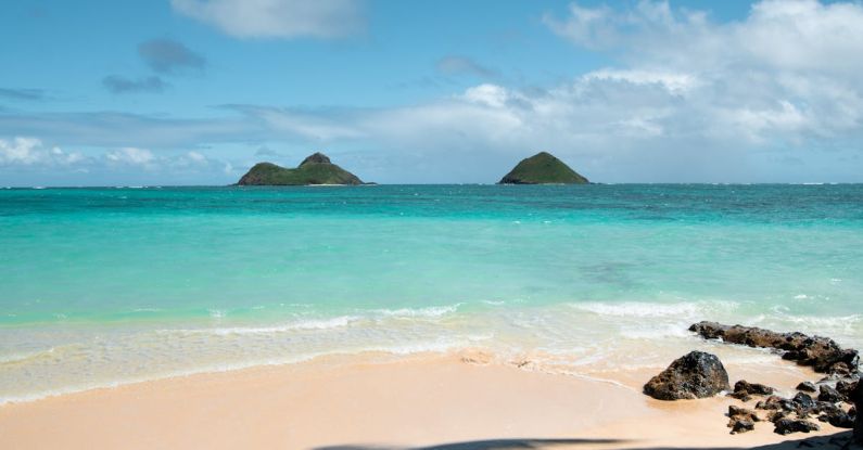 Carbon-Neutral Getaway - Coconut Tree Shadow on Seashore