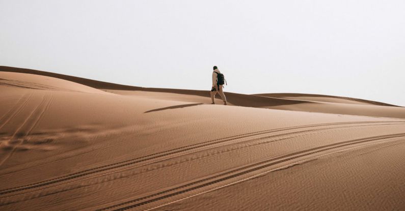 Hiking Trails - A person walking across a desert with a camel