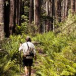 Outback Hiking - Australian bushwalk