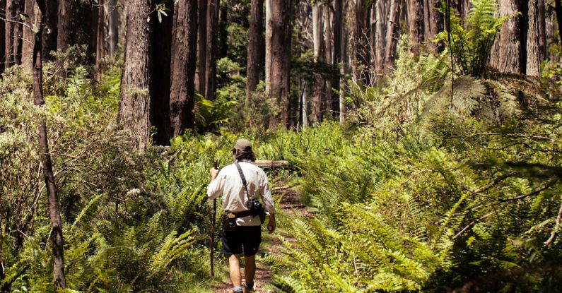 Outback Hiking - Australian bushwalk