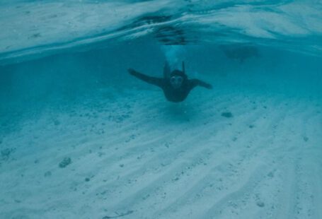 Snorkeling Experience - Faceless person diving in blue seawater